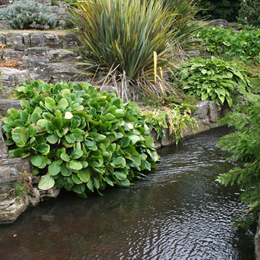 Jardín